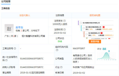 軟件技術轉讓在半導體投資聯盟中的戰略意義與實踐路徑