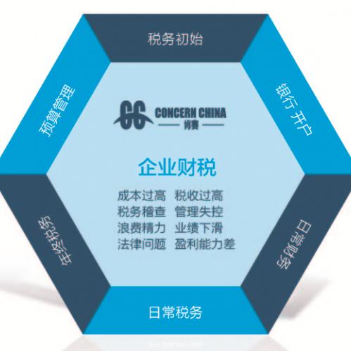 上海一站式財稅與知識產(chǎn)權(quán)服務(wù) 專業(yè)代理記賬與全方位解決方案