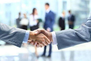 燕郊企業(yè)服務指南 衛(wèi)生許可證與知識產(chǎn)權服務詳解